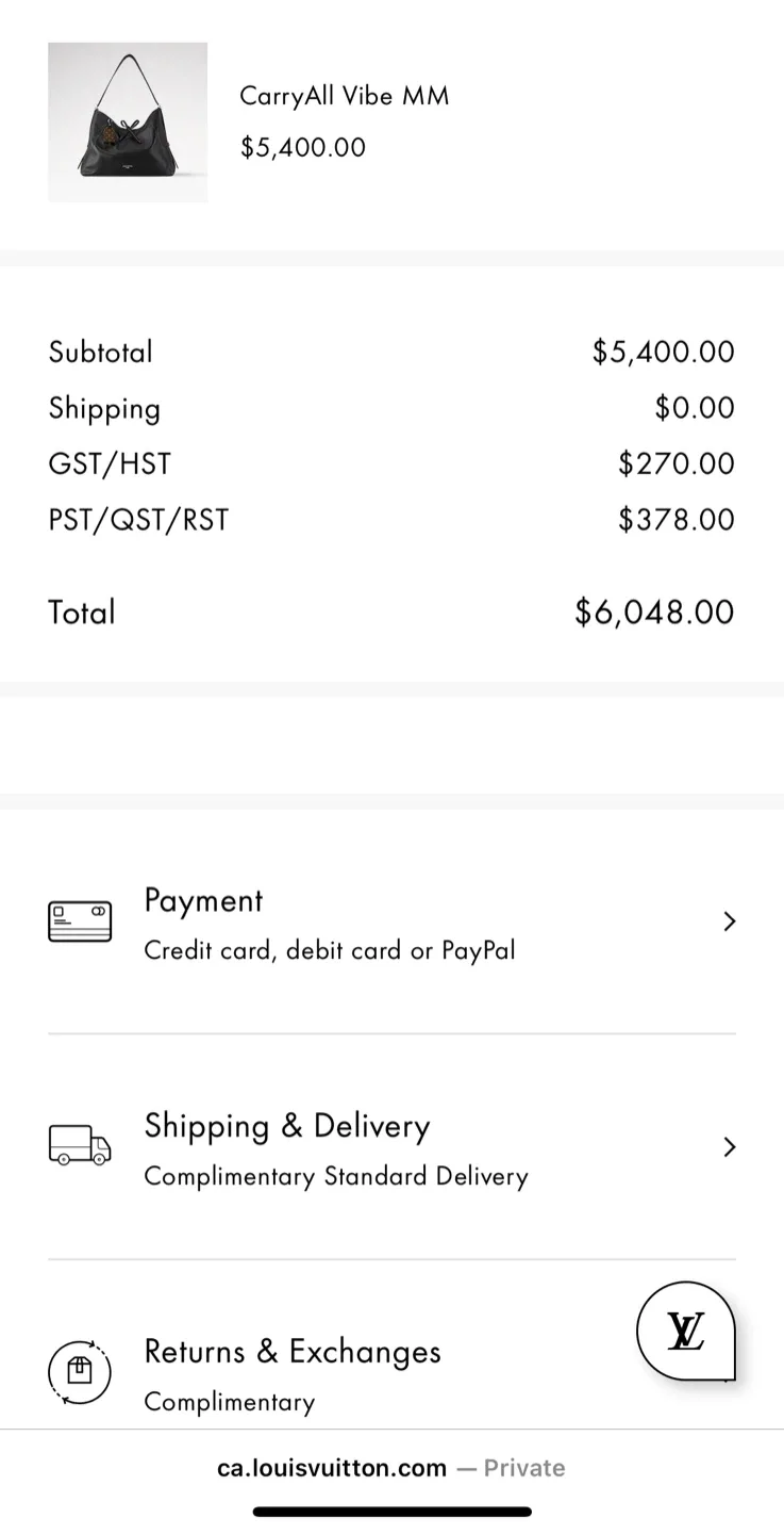 Brand new LV CARRYA.VIBE MM NOIR 🖤 image indicator(5)