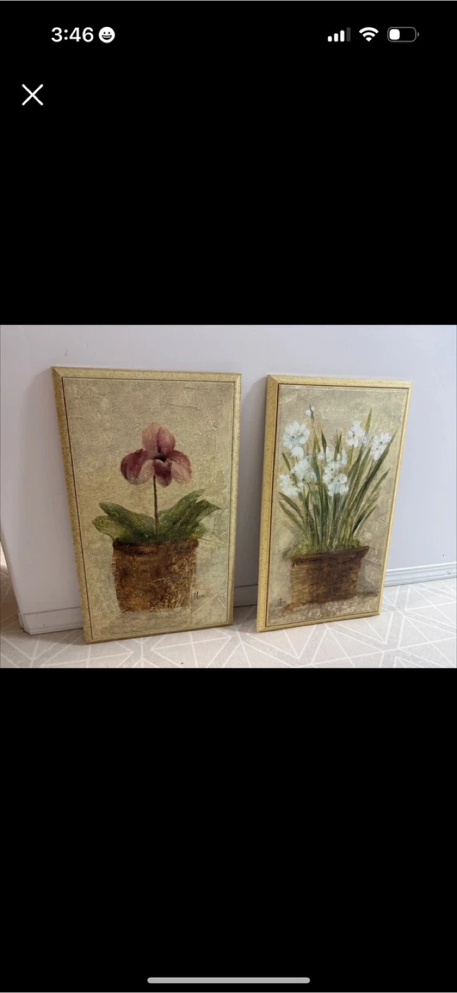 Flower Paintings (Set of 2)