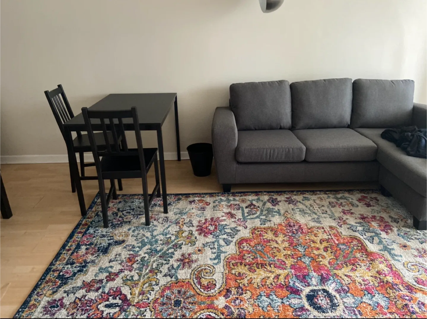 Indoor Wayfair rug thumbnail