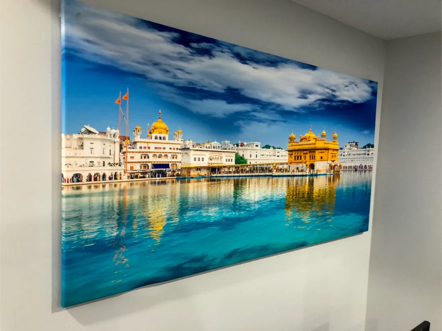 Home decoration/ Wall decoration/ Canvas painting image indicator(2)