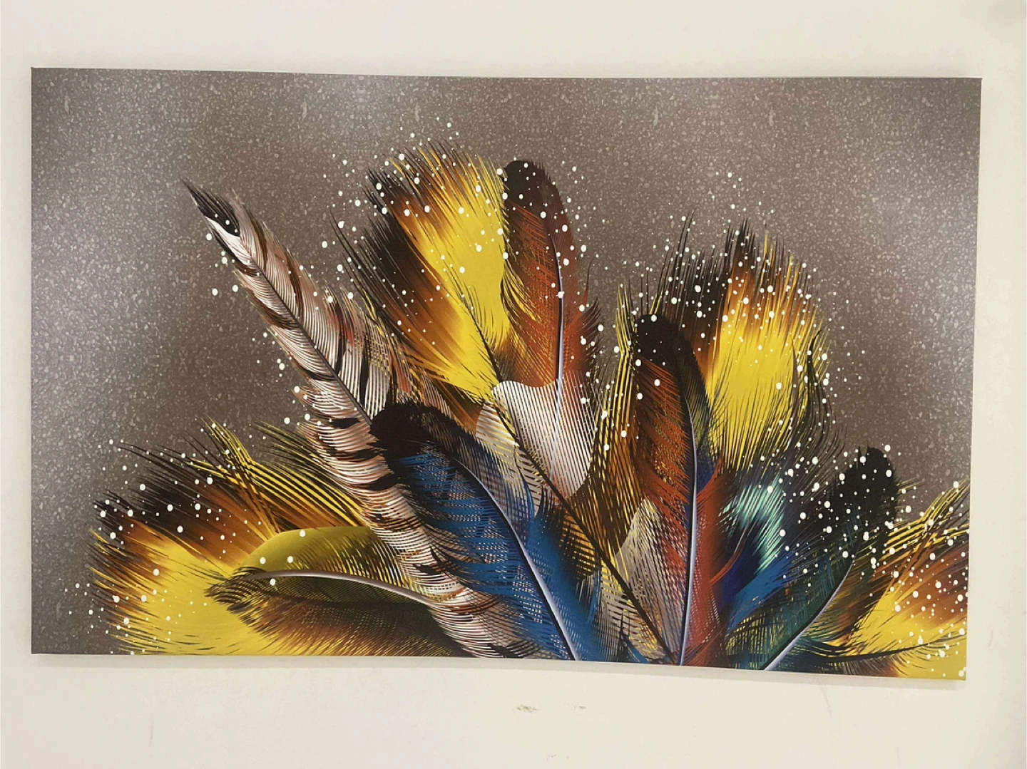 Feather Wall Art - photo 2