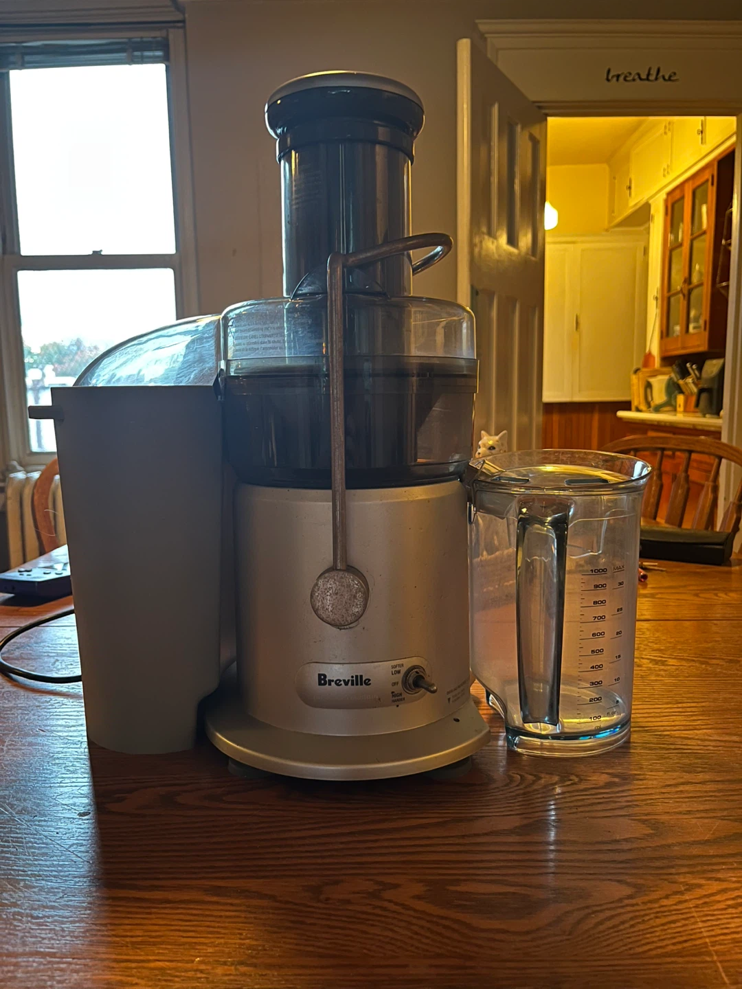 Breville 2 Speed Fountain Juicer