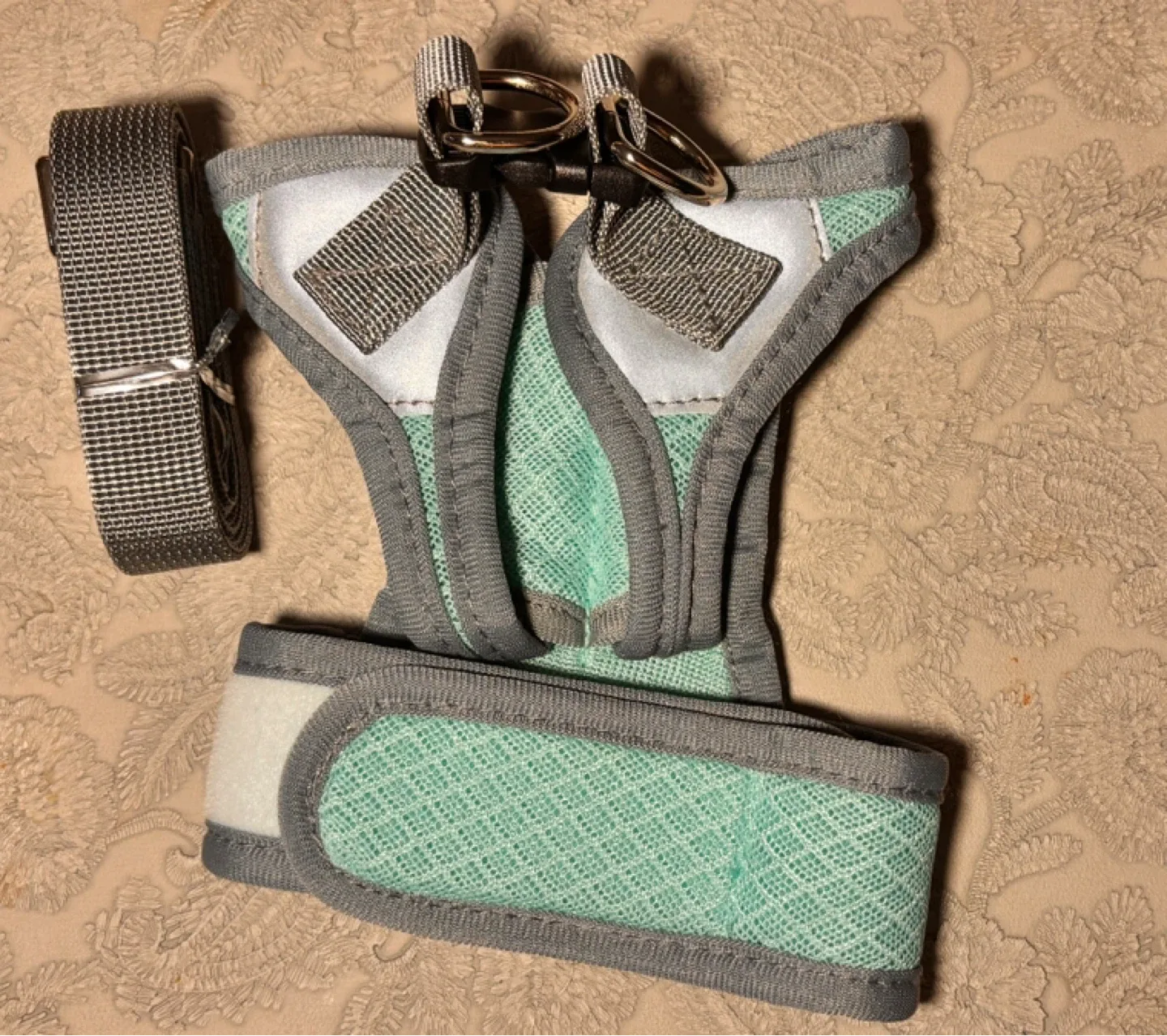 Coastal Pet Dog Harness - Teal, Small image indicator(2)