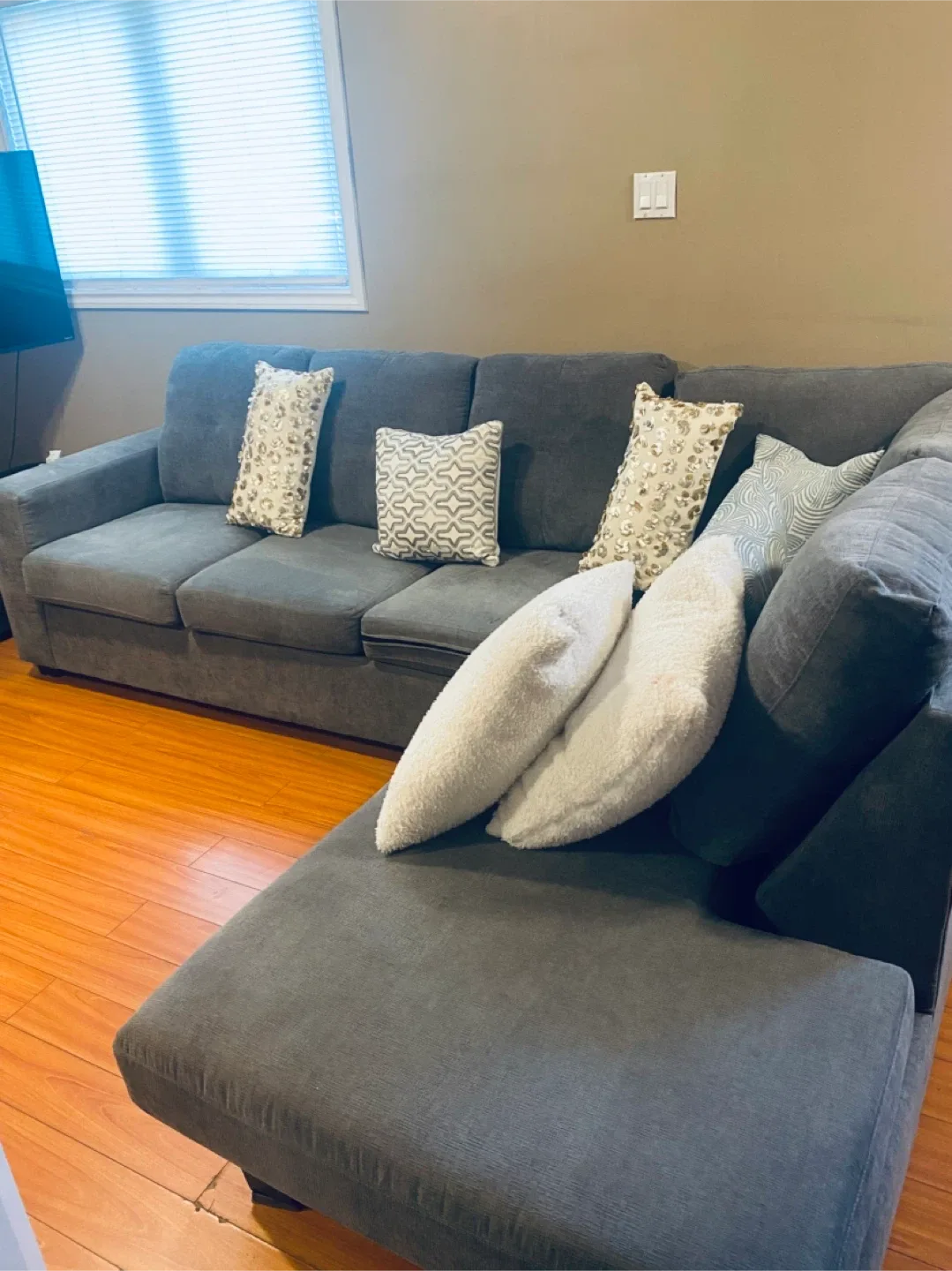 Grey Sectional Sofa image indicator(4)