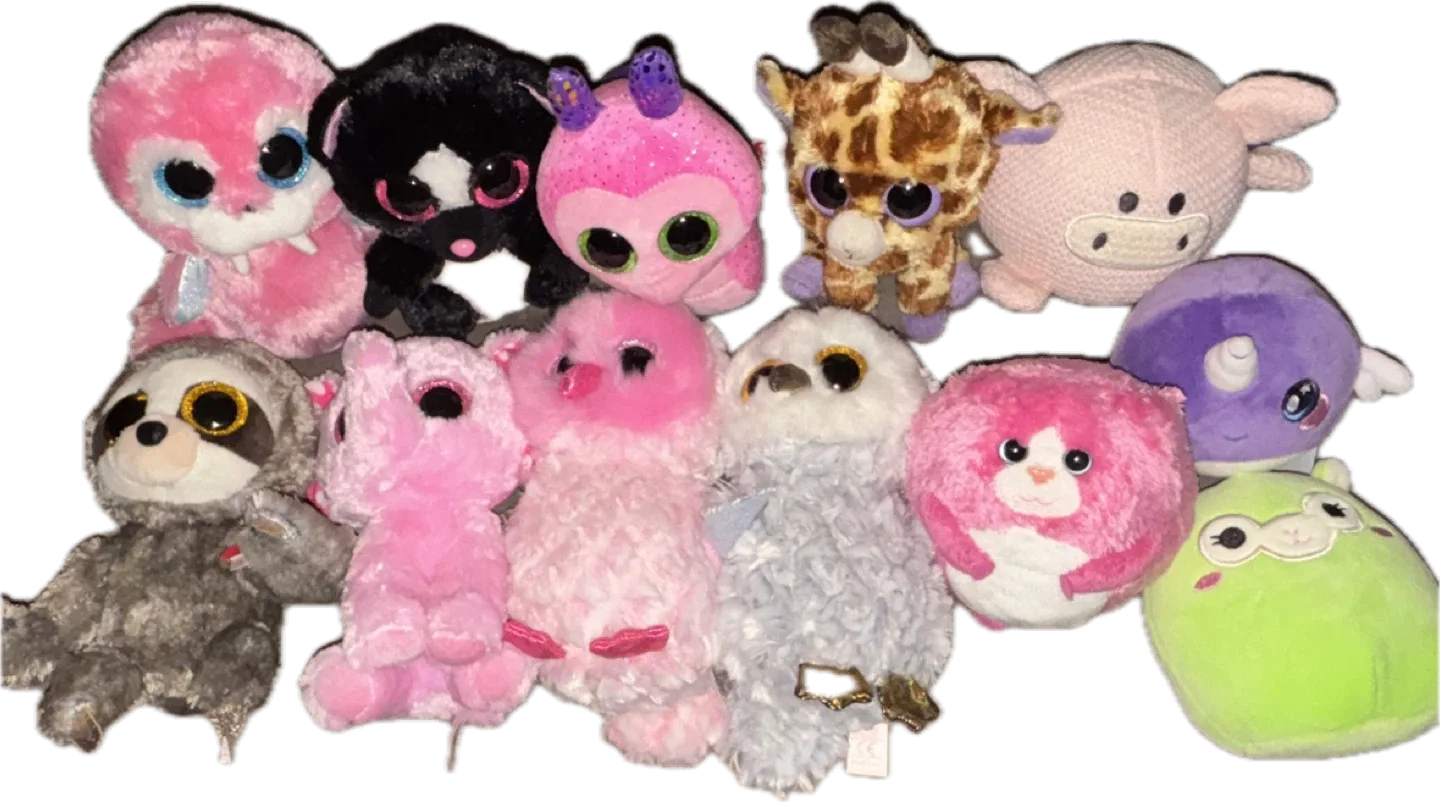 Stuffed animals -gund, squishmallow image indicator(2)
