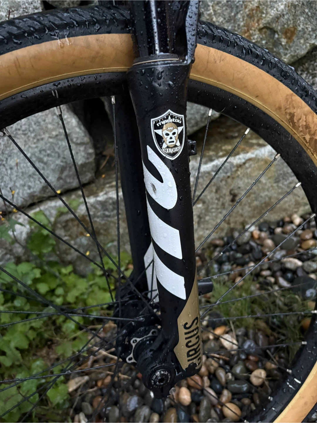 COMMENCAL ABSOLUT DJ - photo 5
