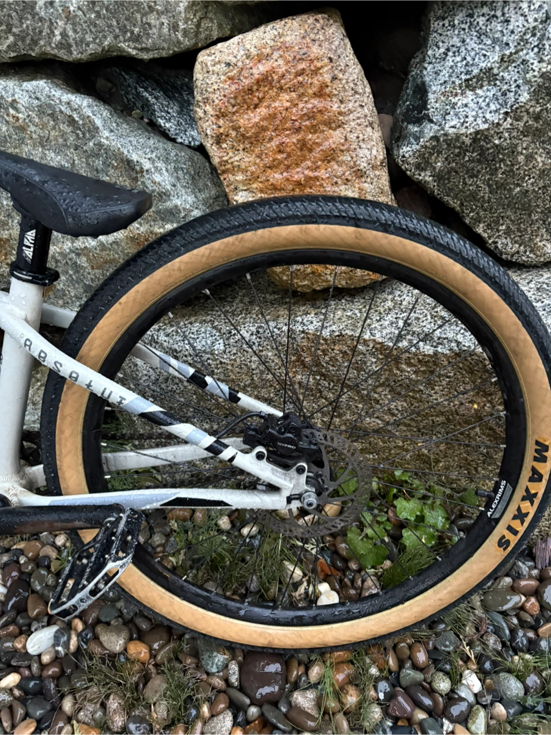 COMMENCAL ABSOLUT DJ - photo 2