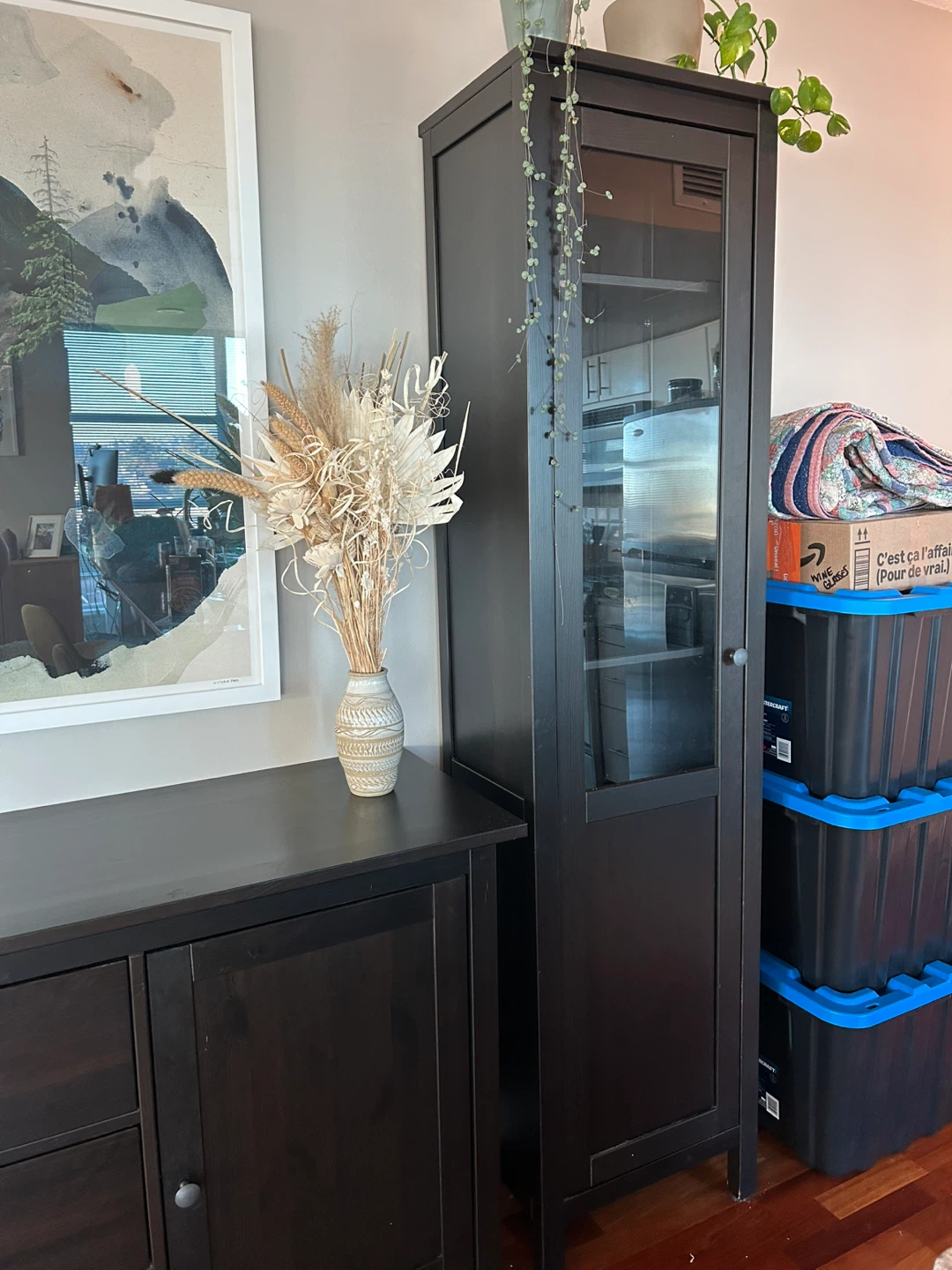 IKEA Hemnes Bookcase with Glass Door - Black Brown