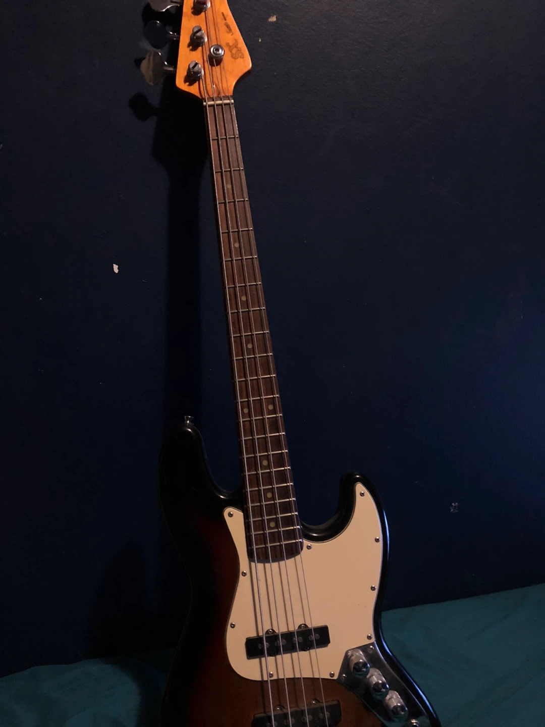 Acoustic & Electric Bass Guitars