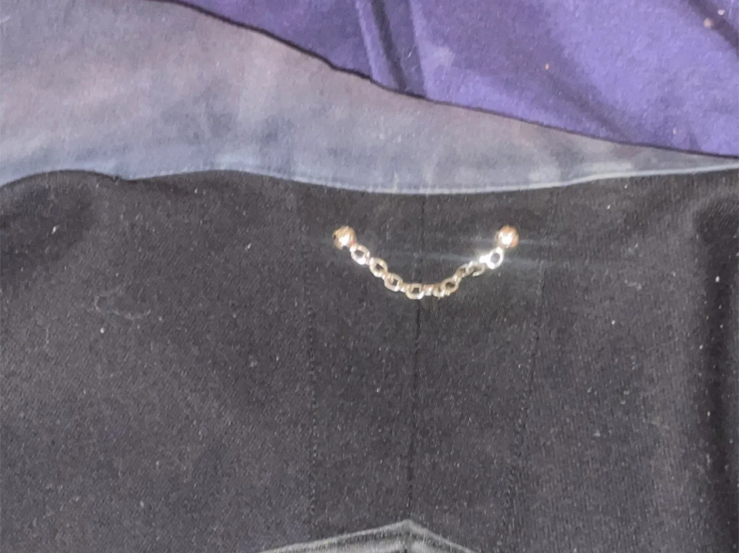 Louis Vuitton Paris Jacket image indicator(3)