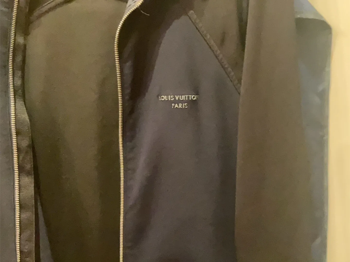 Louis Vuitton Paris Jacket image indicator(2)