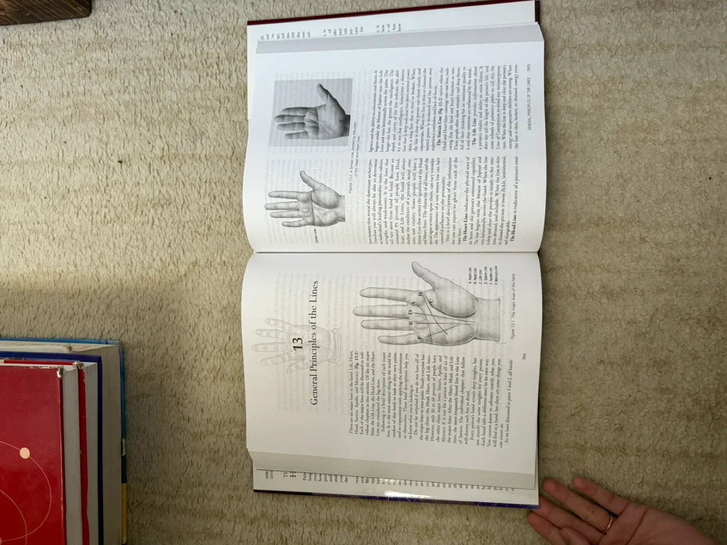 The Art and Science of Hand Reading by Ellen Goldberg image indicator(2)