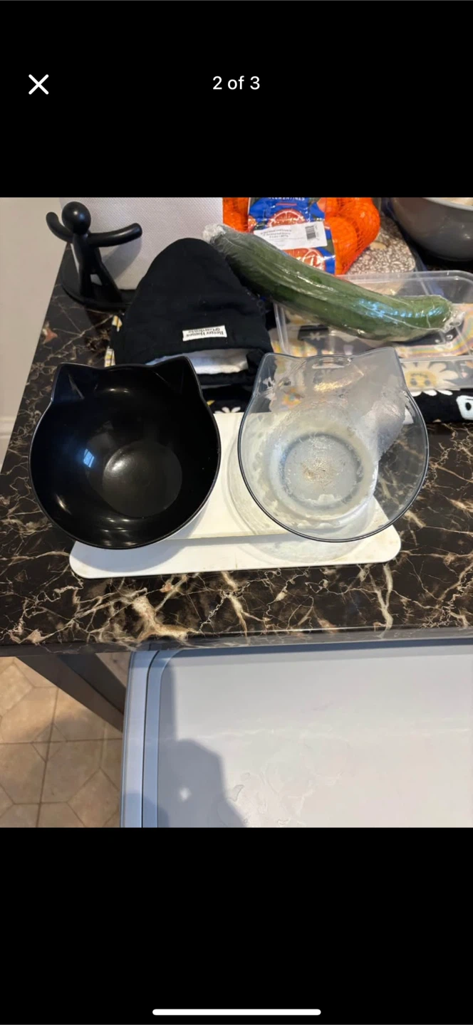 Cat Ear Double Bowl - Black & Clear