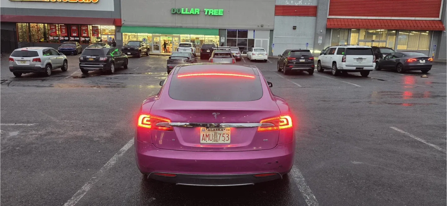 Tesla Model S - Custom Color image indicator(4)