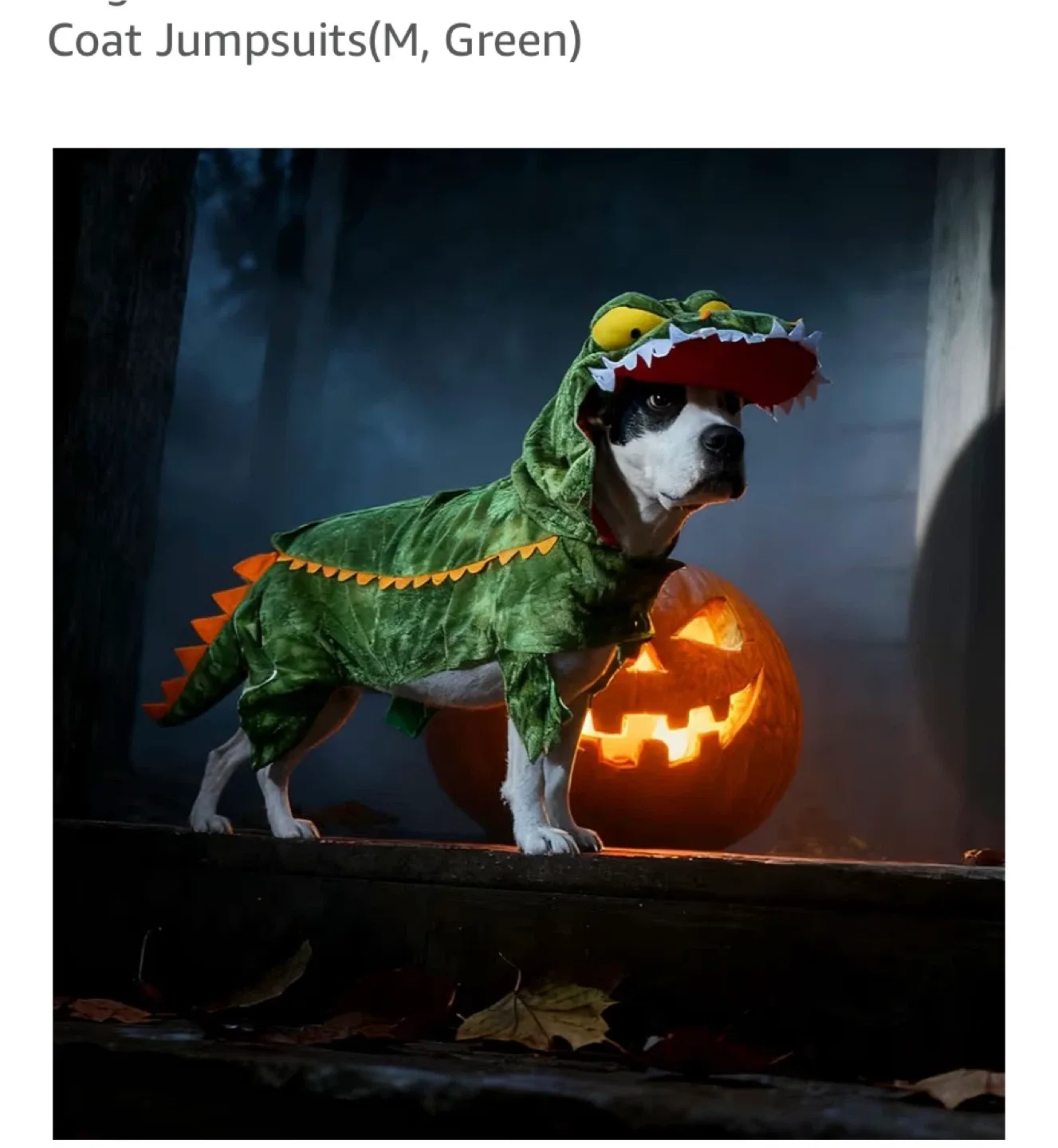 Dog Crocodile Costume - Size Medium image indicator(5)