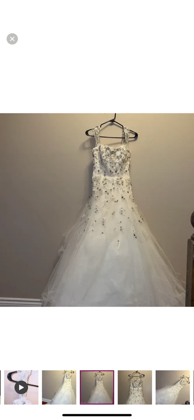 Rivini Wedding Dress, Size 6 image indicator(7)