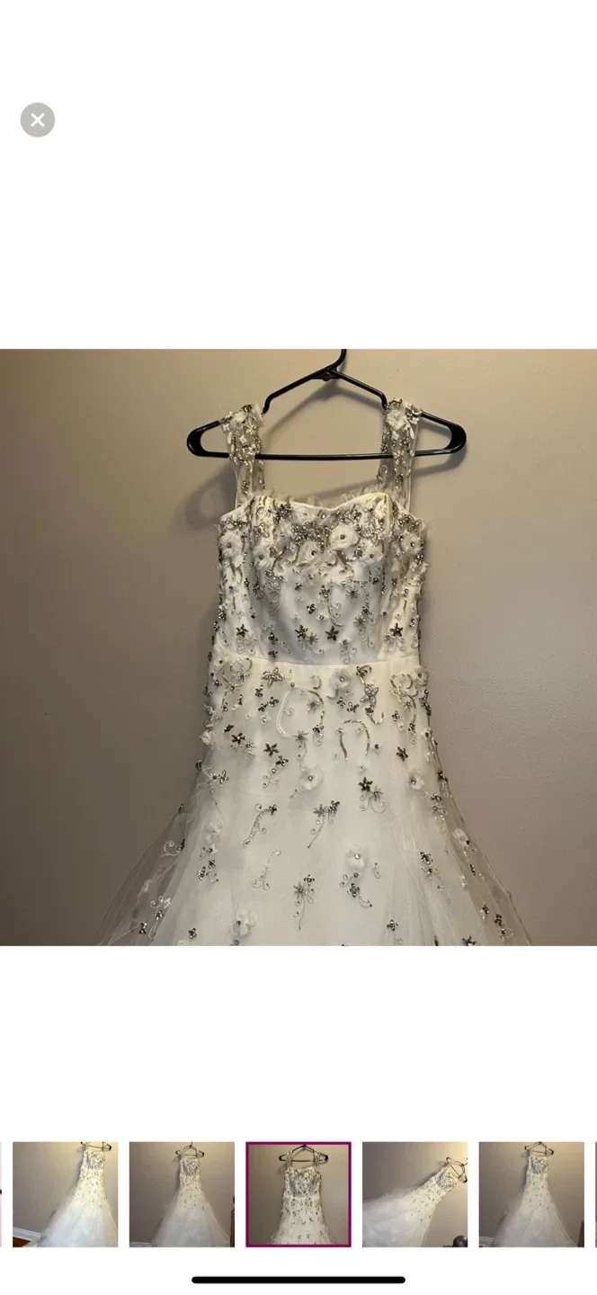 Rivini Wedding Dress, Size 6 image indicator(8)