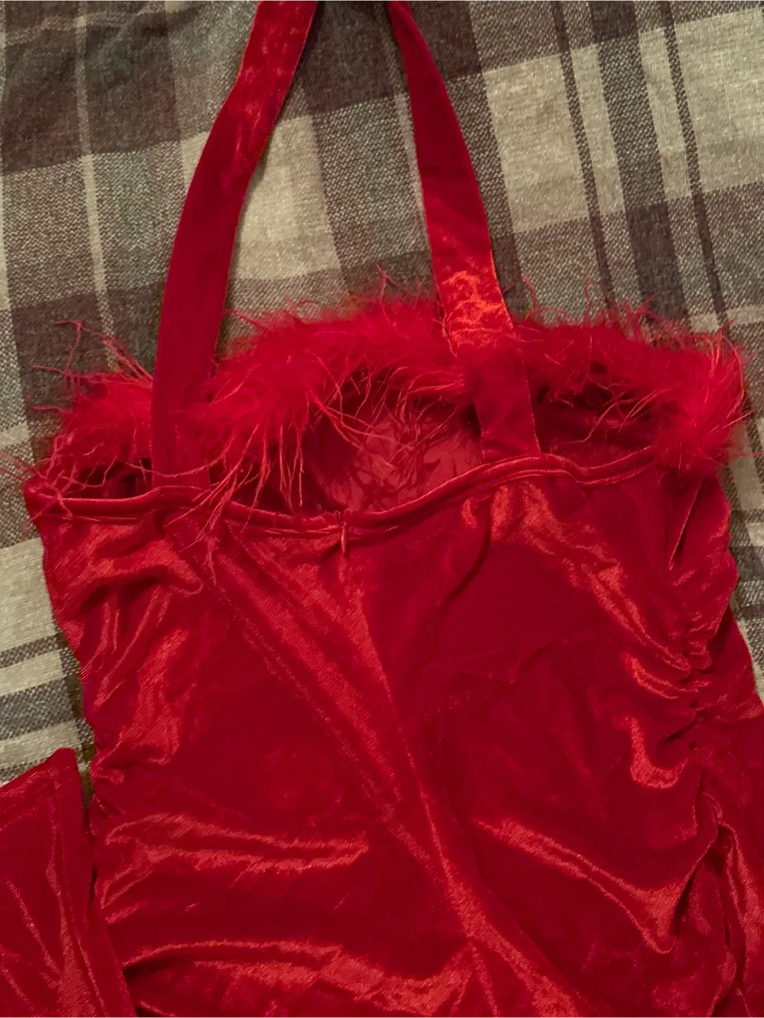 Red Velvet Dress with Feather Trim image indicator(4)