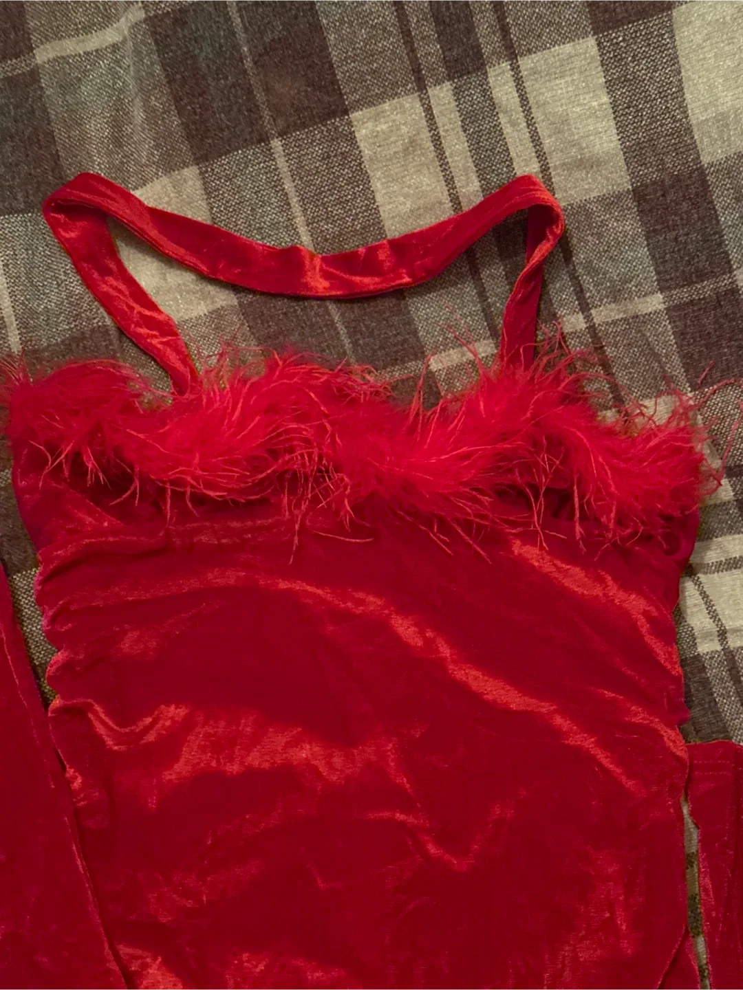Red Velvet Dress with Feather Trim image indicator(3)