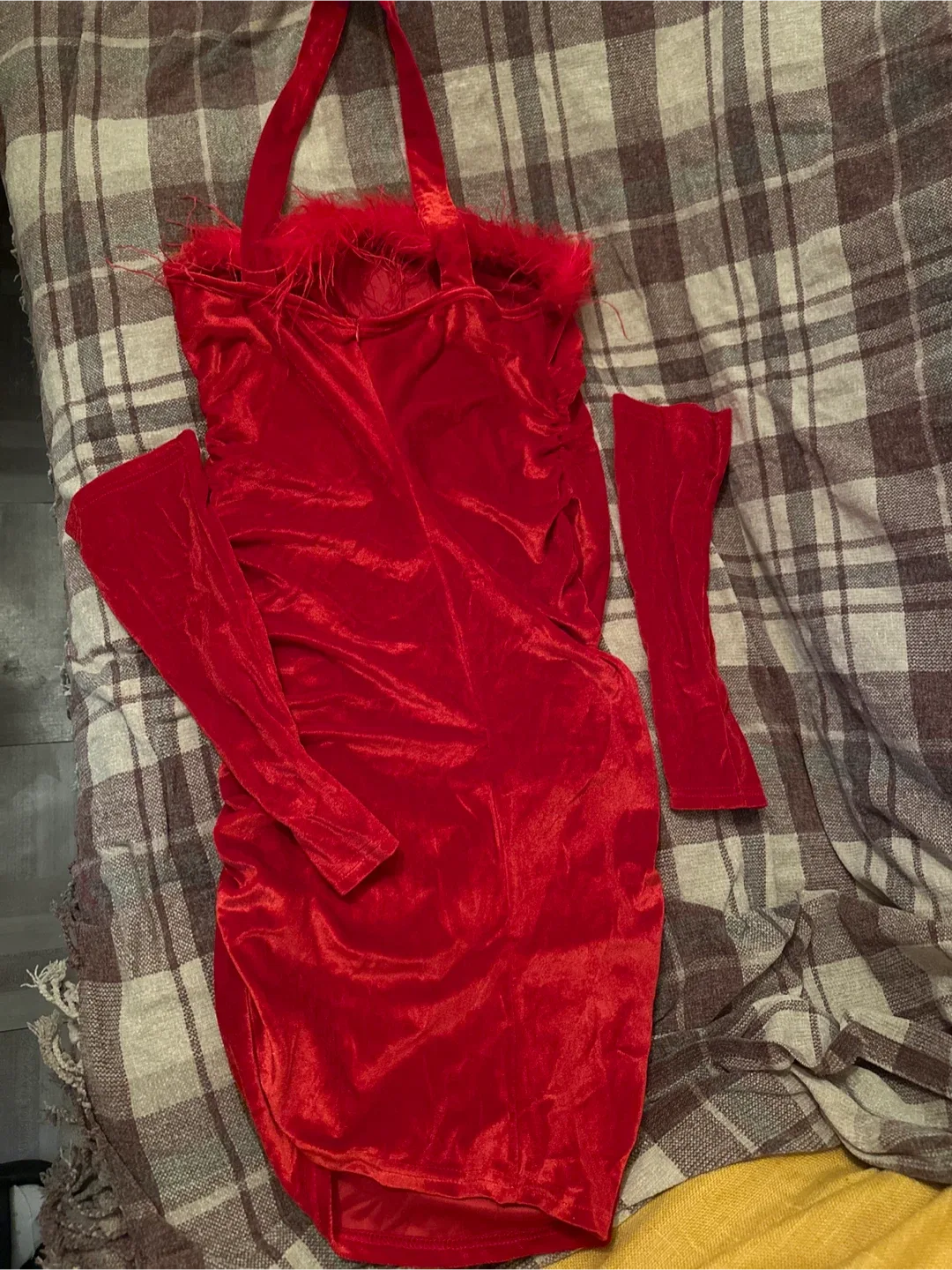 Red Velvet Dress with Feather Trim image indicator(2)