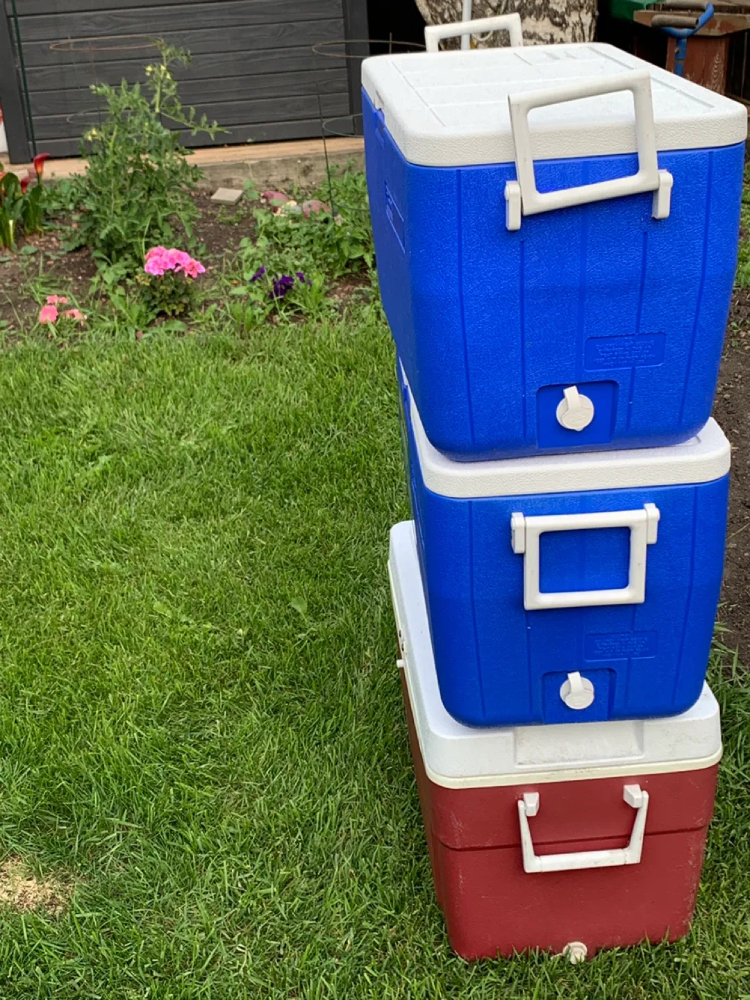 Coleman & Thermos Coolers - 2 Sizes image indicator(3)