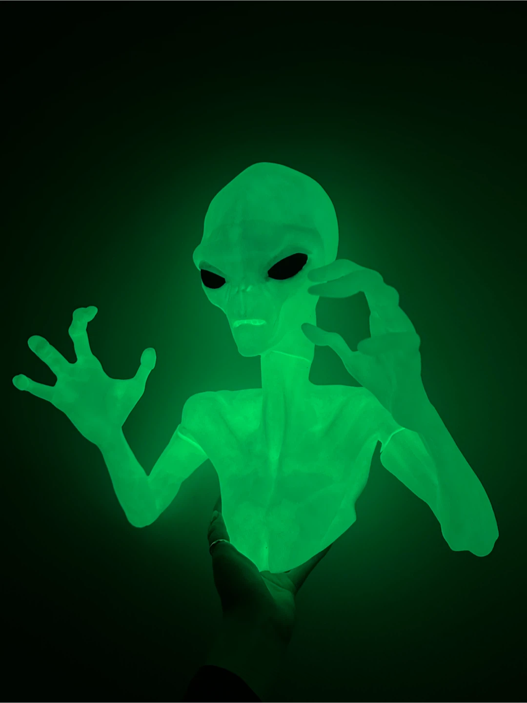 Alien Wall Decor - Glow in the Dark