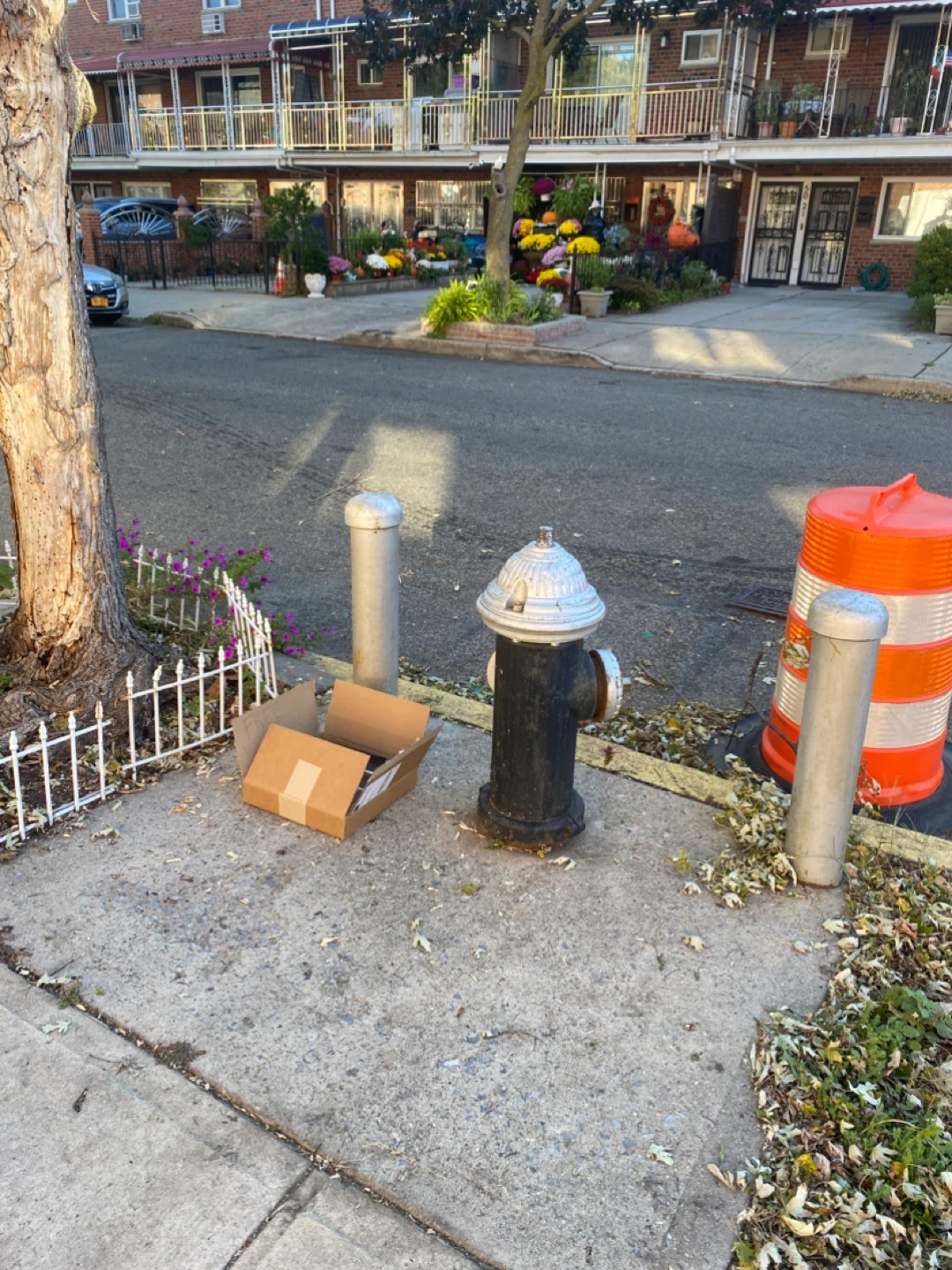 CURB ALERT Free Vinyl records 🥕