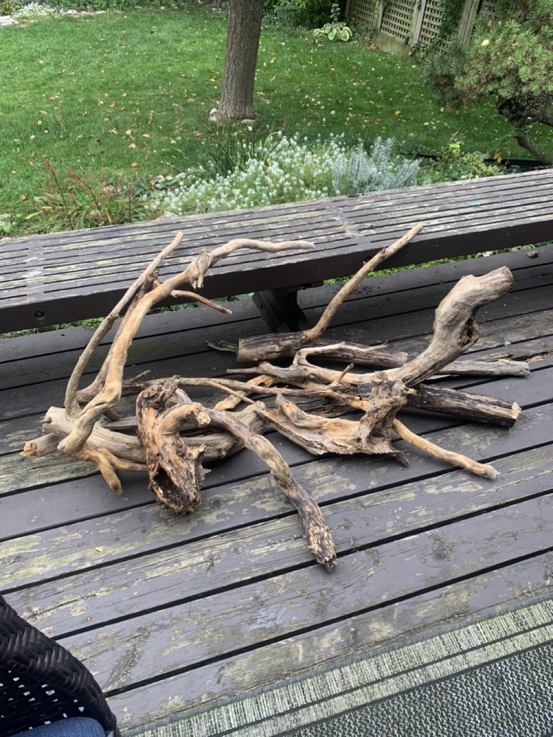 🥕 Driftwoods