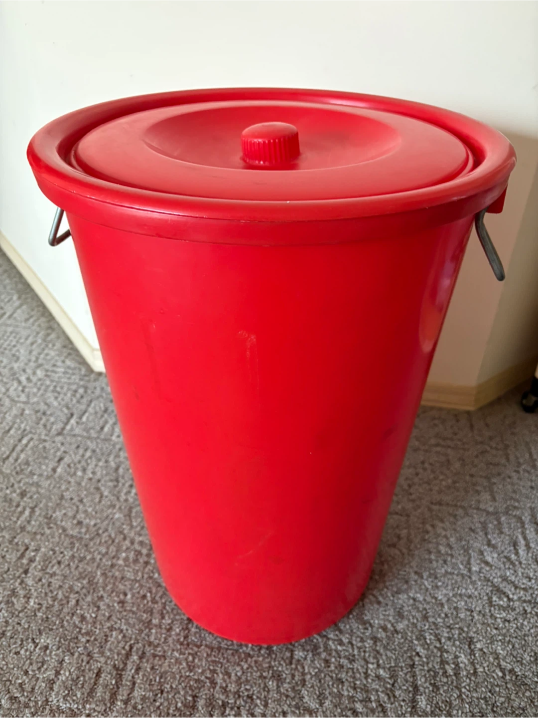 56-litre Sturdy Plastic Bucket with Lid