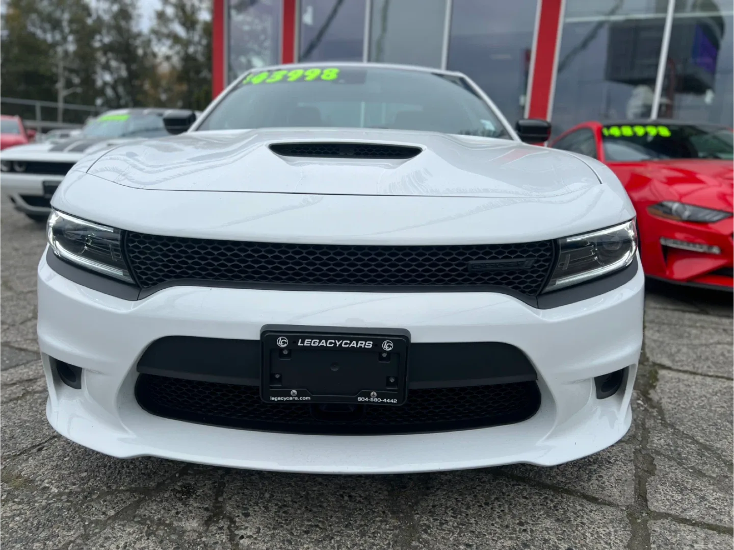 Dodge Charger GT - White image indicator(2)