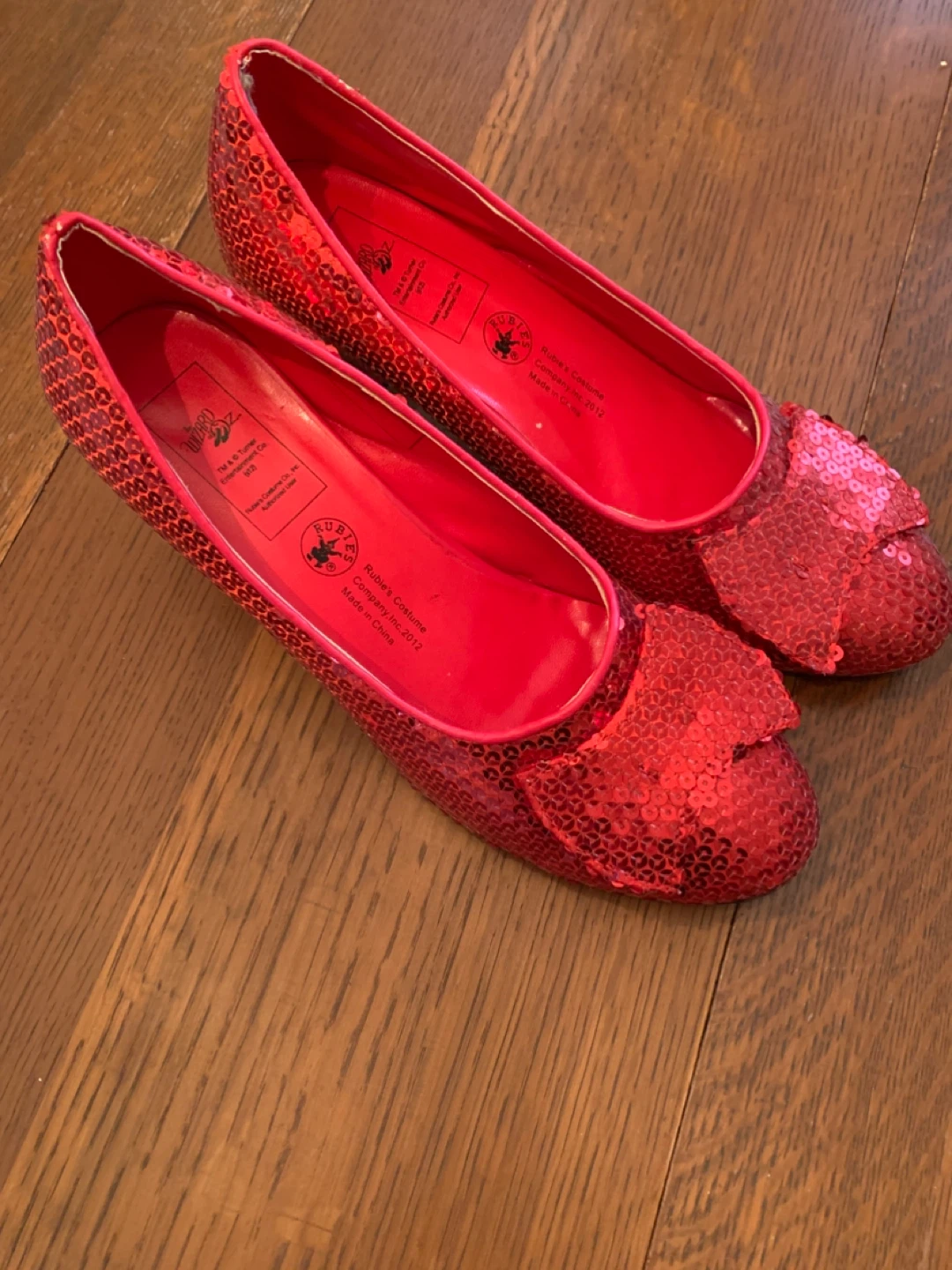 Dorothy Wizard of Oz with Ruby shoes 🥕🥕 - photo 3