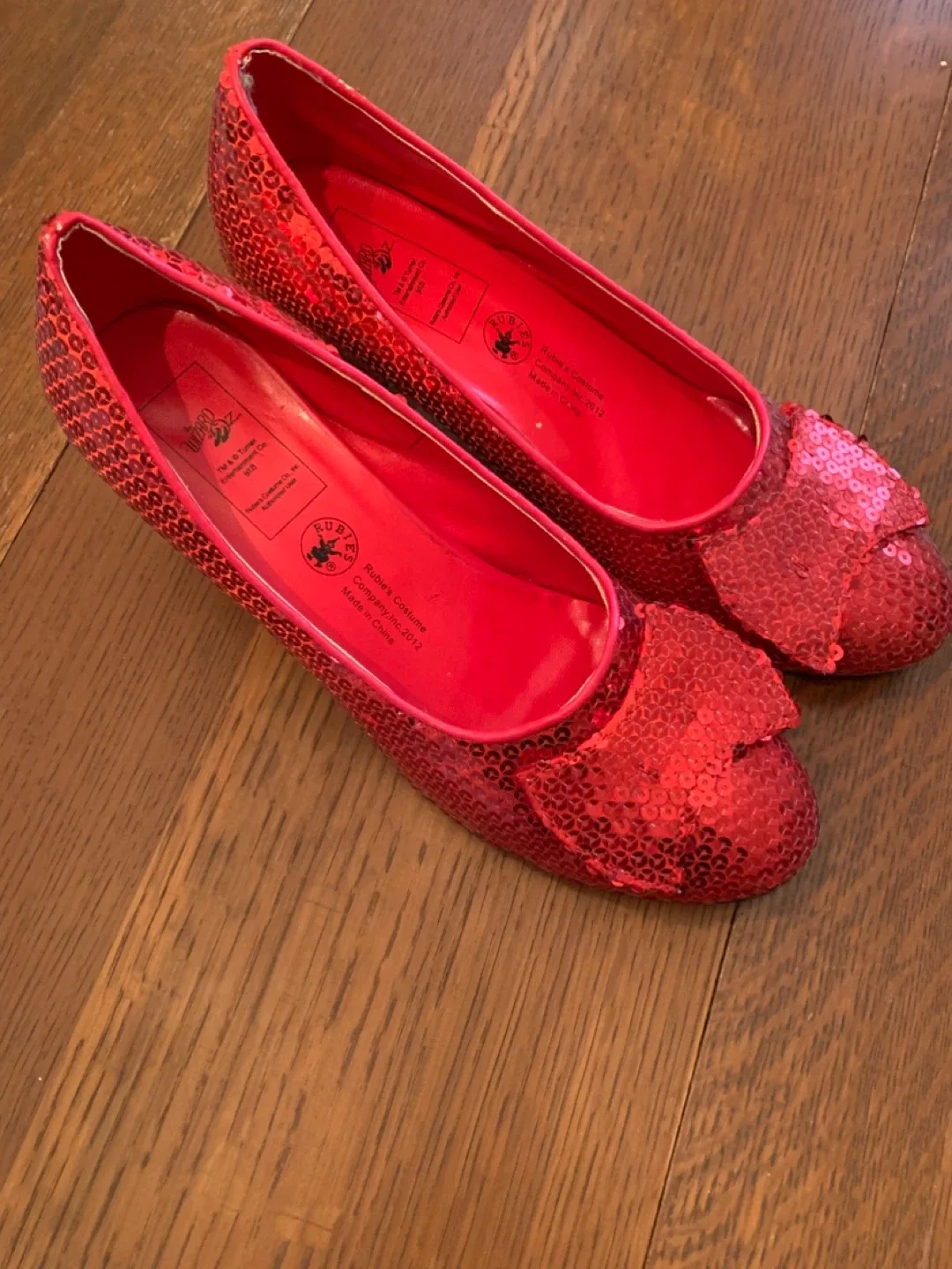 Dorothy Wizard of Oz with Ruby shoes 🥕🥕 image indicator(3)