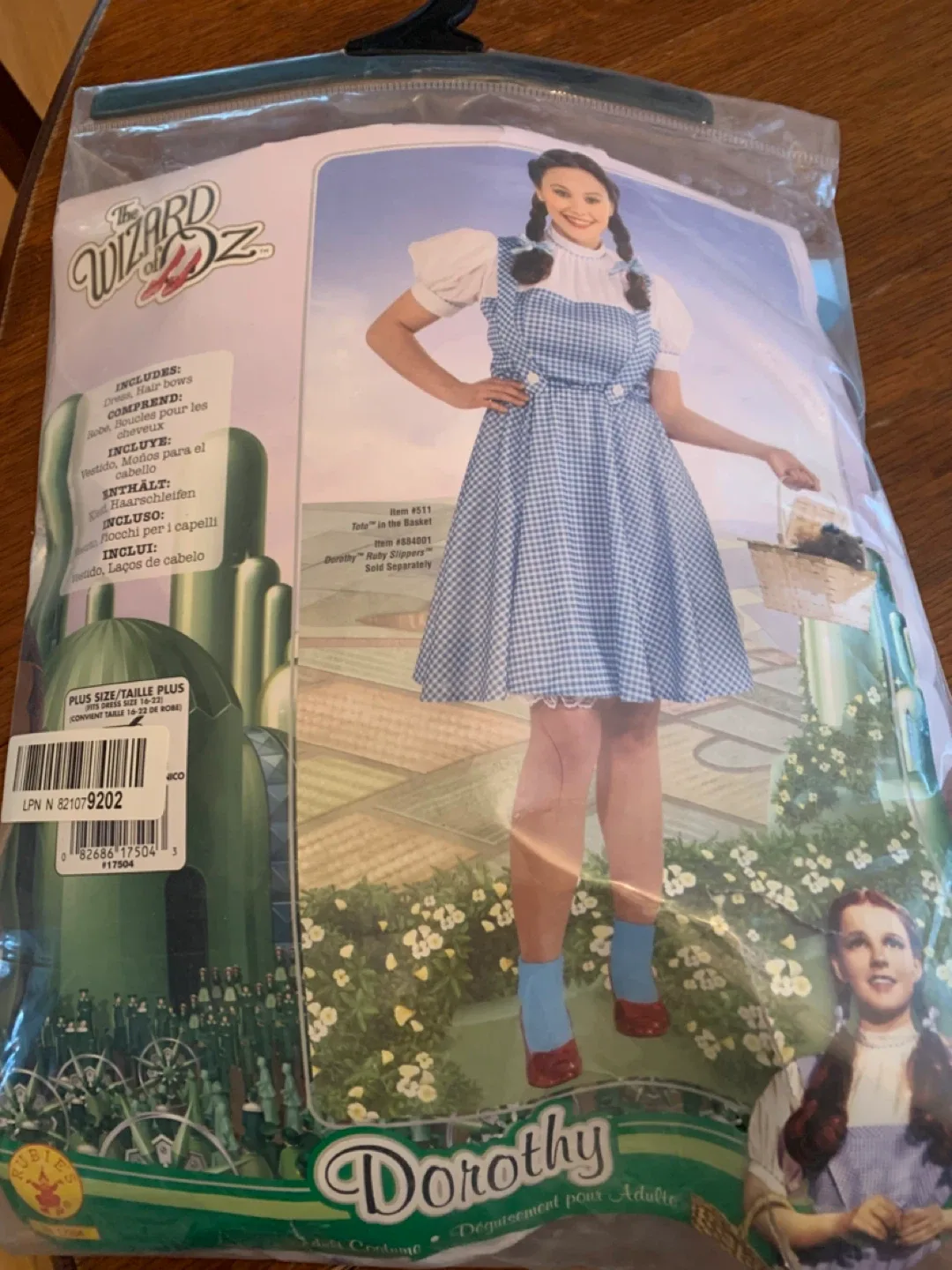 Dorothy Wizard of Oz with Ruby shoes 🥕🥕 image indicator(2)