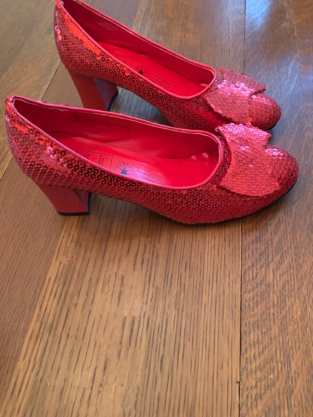 Dorothy Wizard of Oz with Ruby shoes 🥕🥕 image indicator(4)