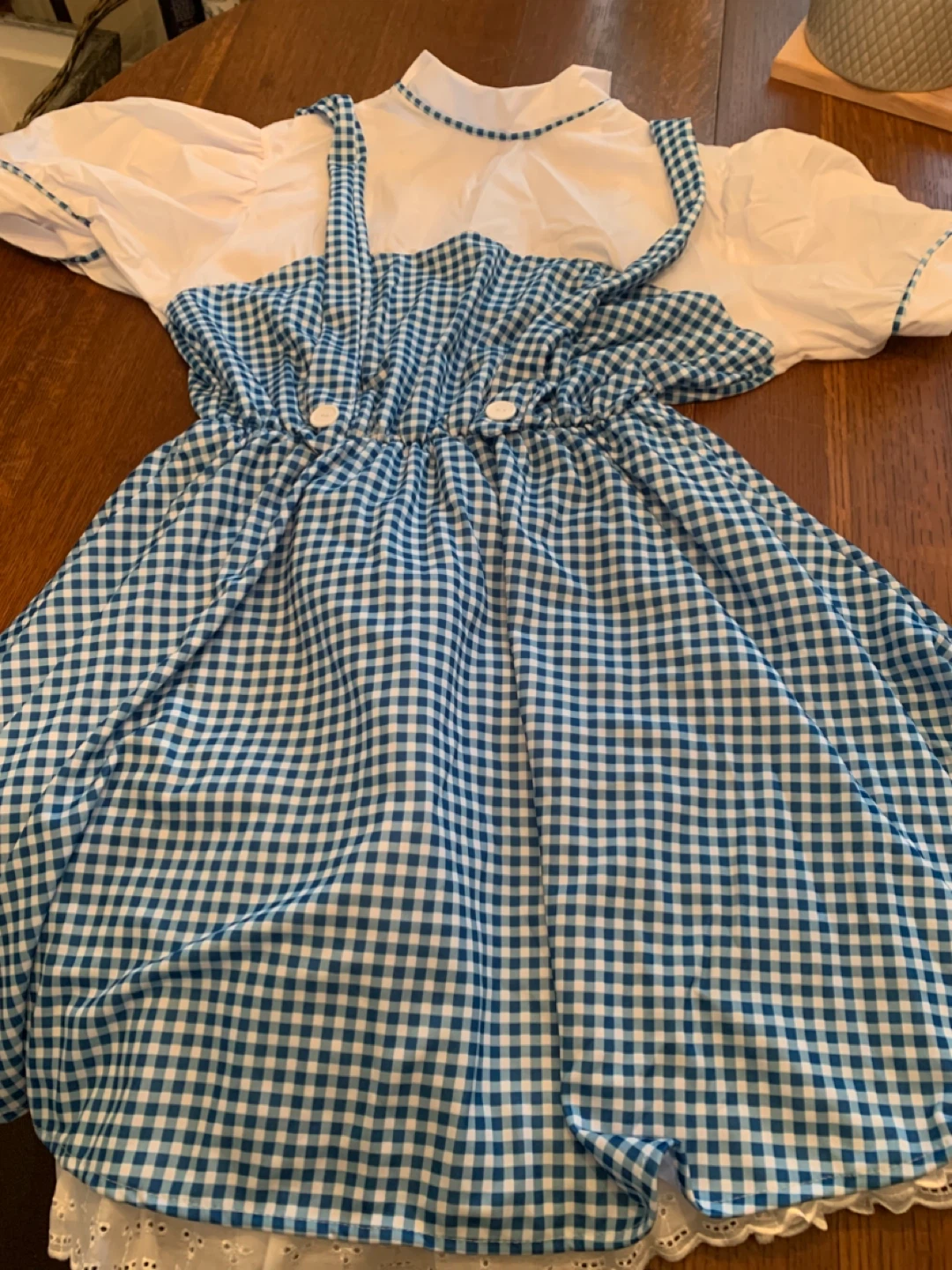 Dorothy Wizard of Oz with Ruby shoes 🥕🥕