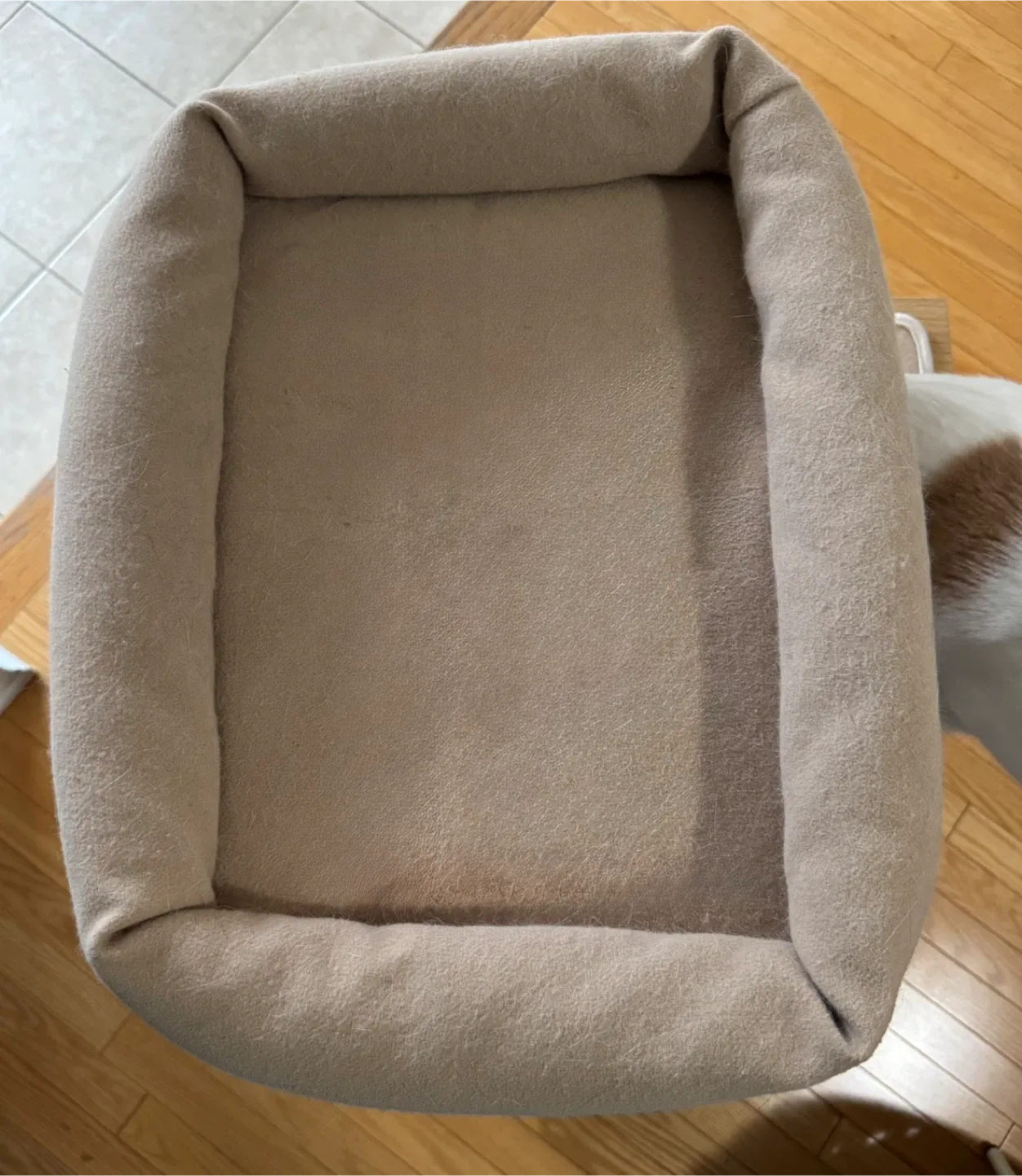 Cat Tree with Scratching Post & Condo image indicator(5)