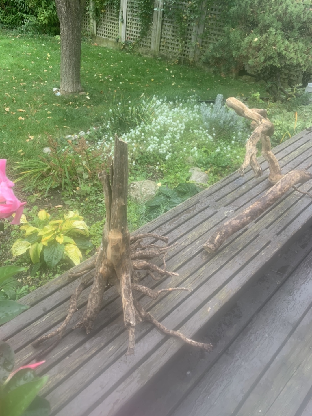 🥕 Driftwoods $35 & $45 - photo 3