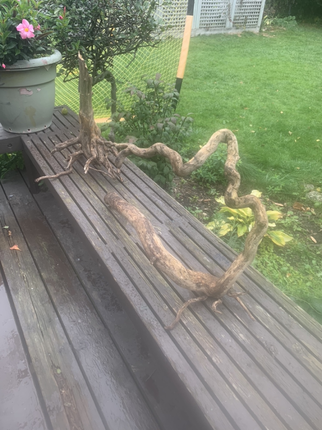 🥕 Driftwoods $35 & $45 - photo 2