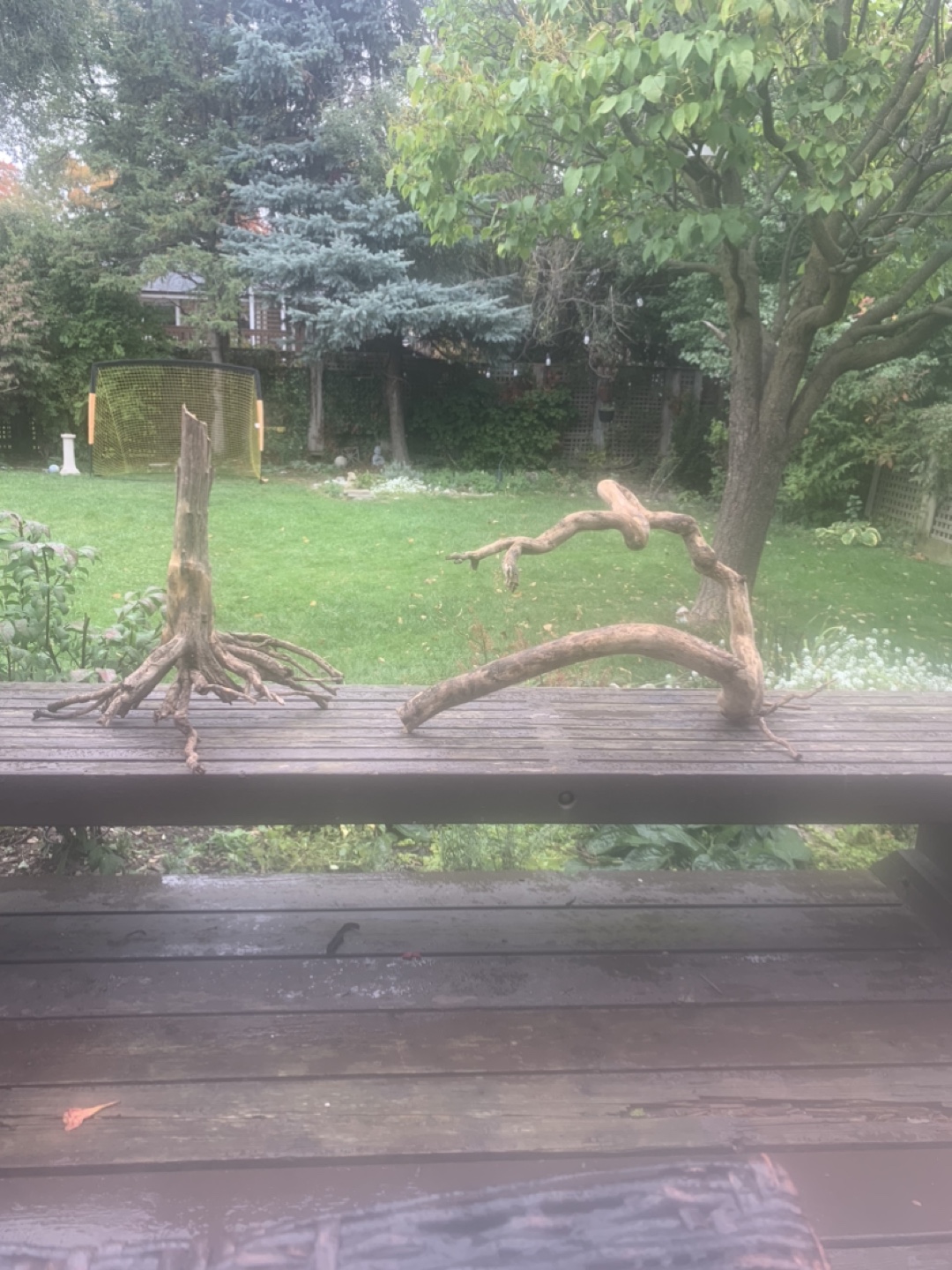 🥕 Driftwoods $35 & $45