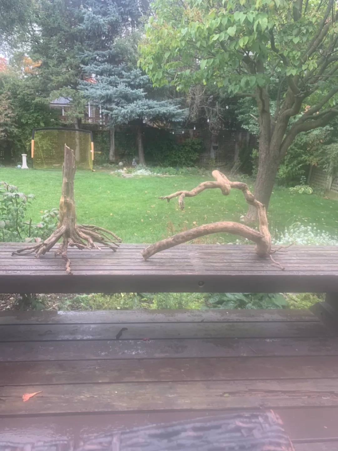 🥕 Driftwoods $35 & $45