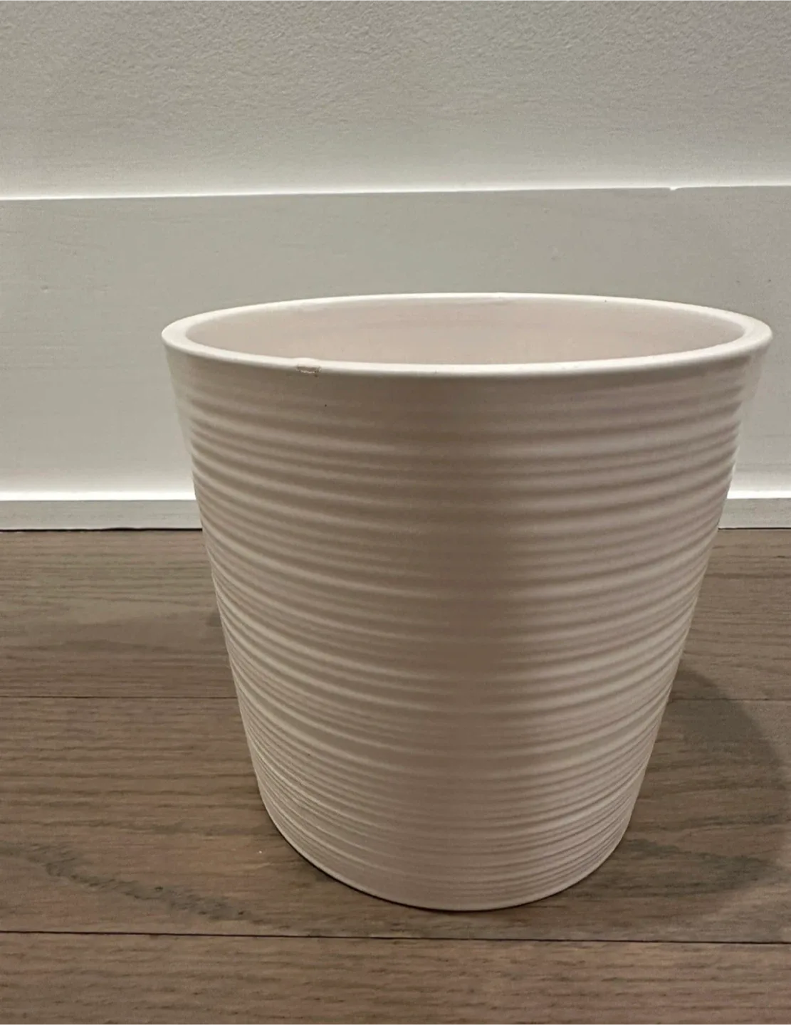 🥕 White Ceramic Plant Pot thumbnail