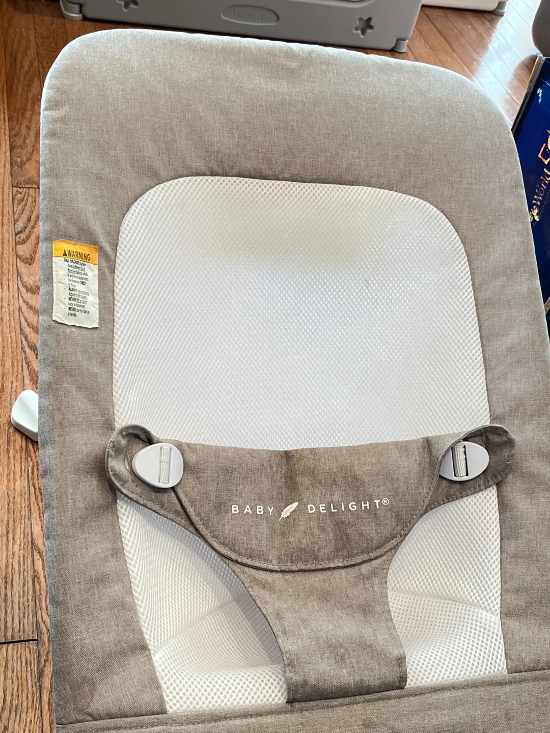 Baby Delight Infant Rocker