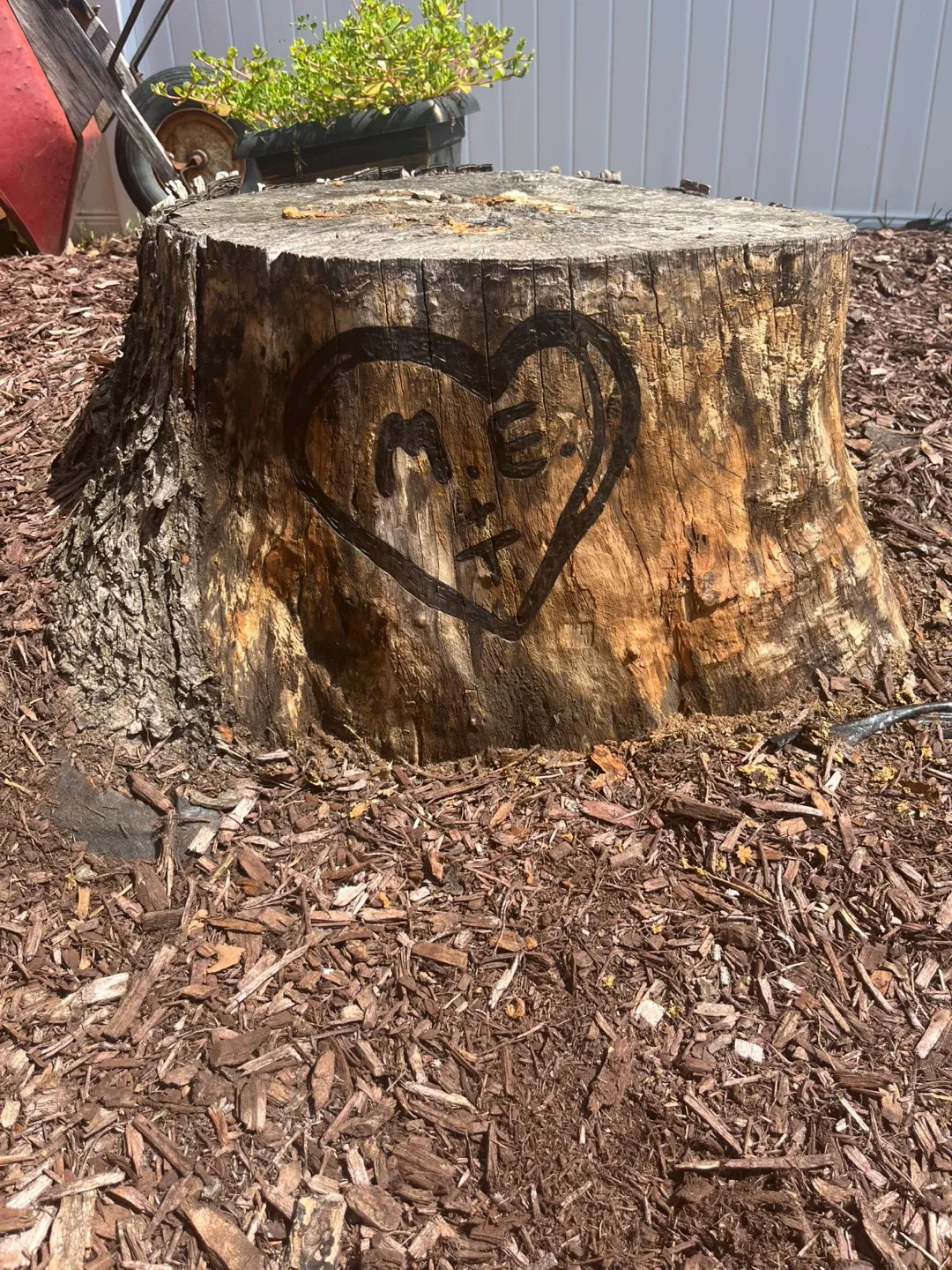 CUSTOM - Wood Burning art image indicator(10)