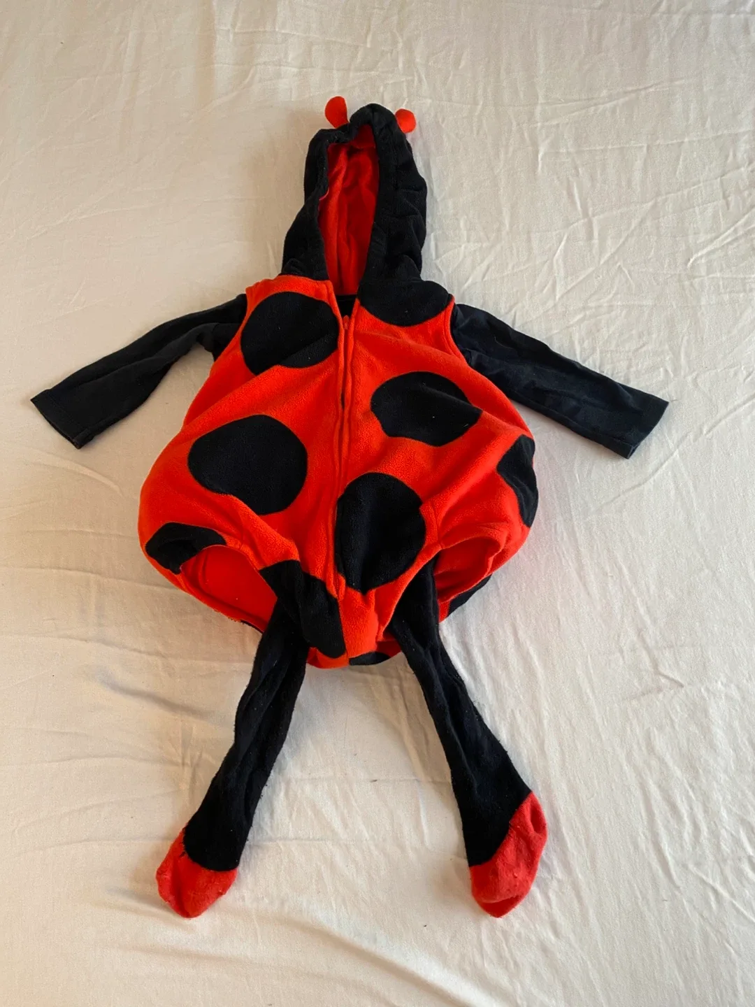 Ladybug Costume 6-9M thumbnail