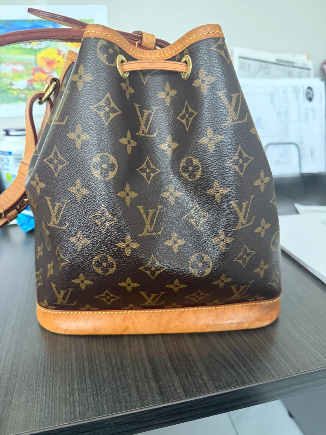 Louis Vuitton Monogram Noe Bucket Bag