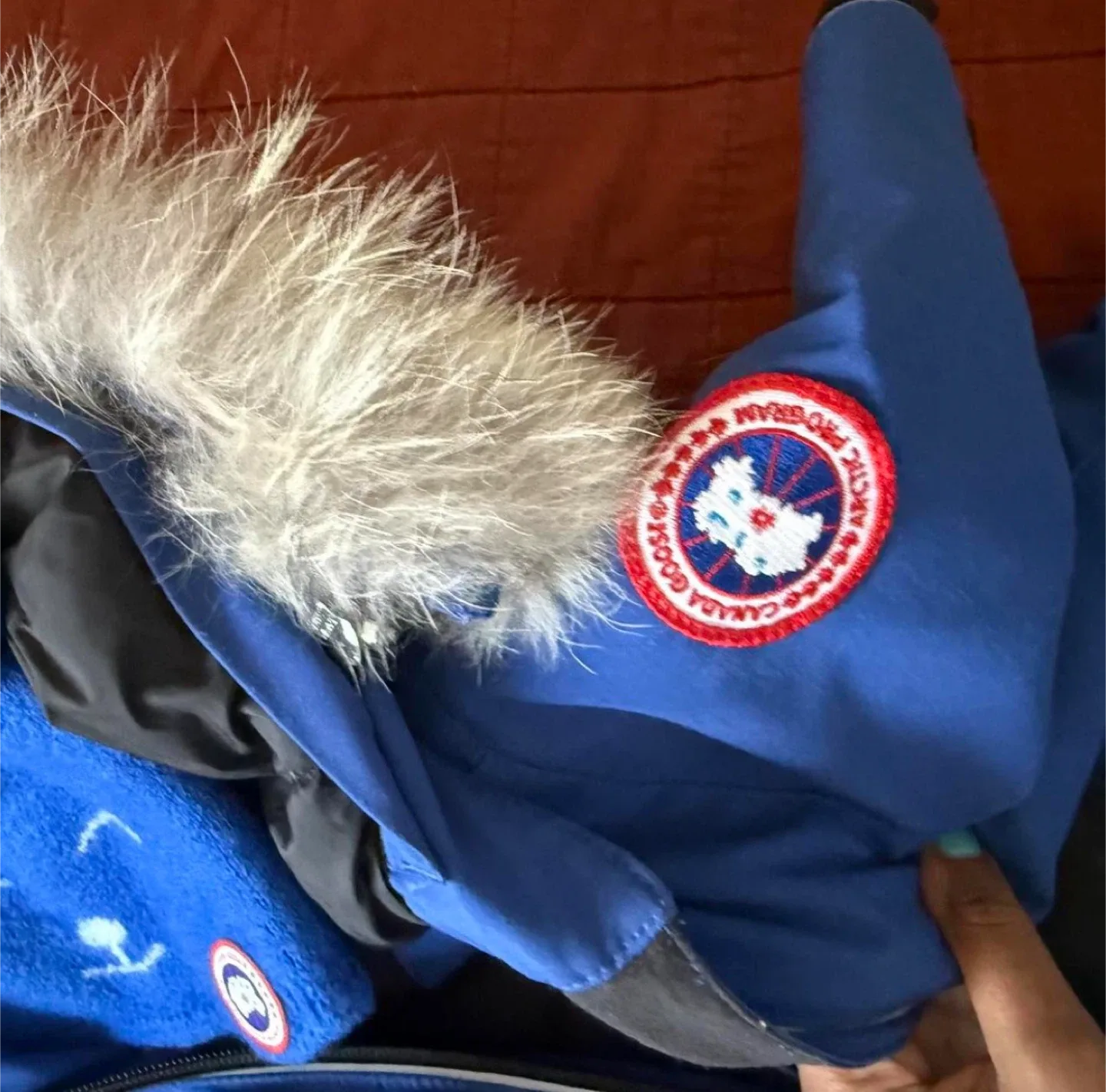 Canada Goose Baby Snowsuit Size 3/6 Months image indicator(3)