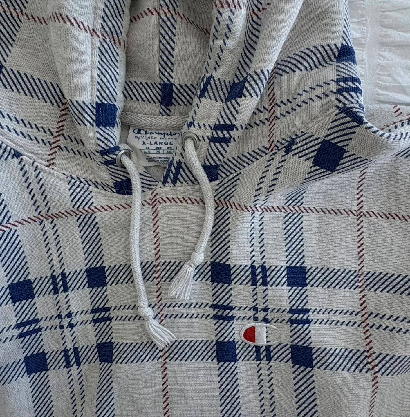 Champion Plaid Hoodie image indicator(2)