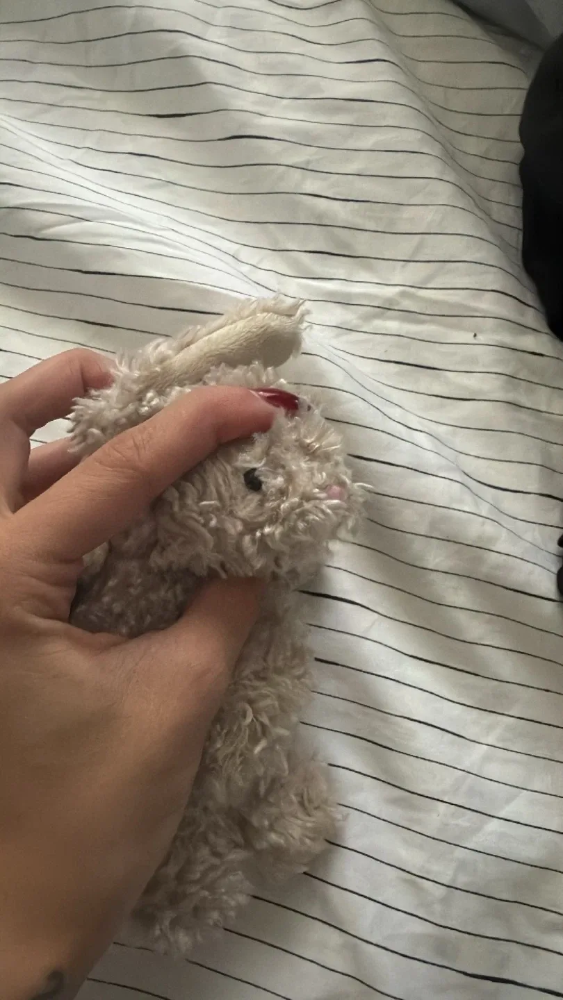 Jellycat Beige Bunny Stuffed Animal image indicator(4)