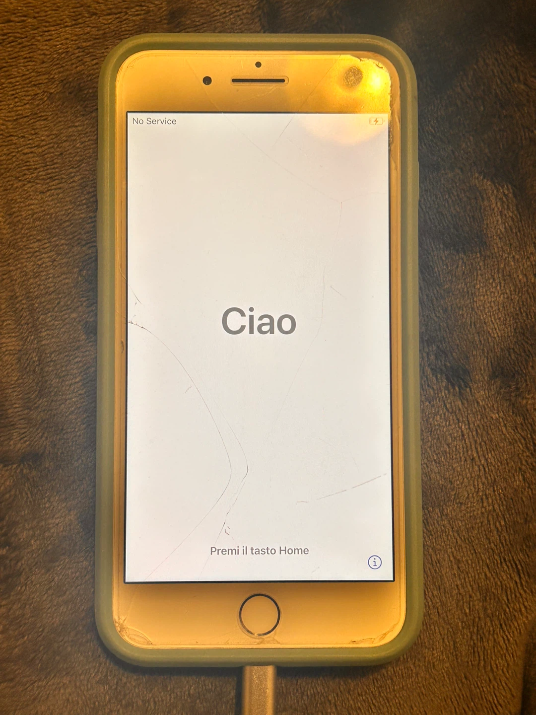 iPhone 8 Plus with Case