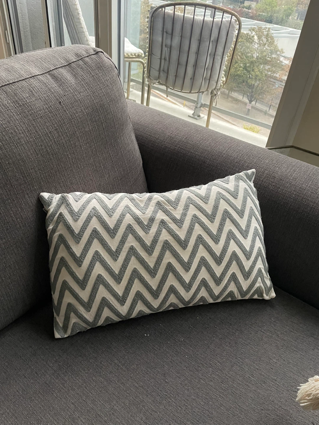 Urban Barn Decorative Pillow